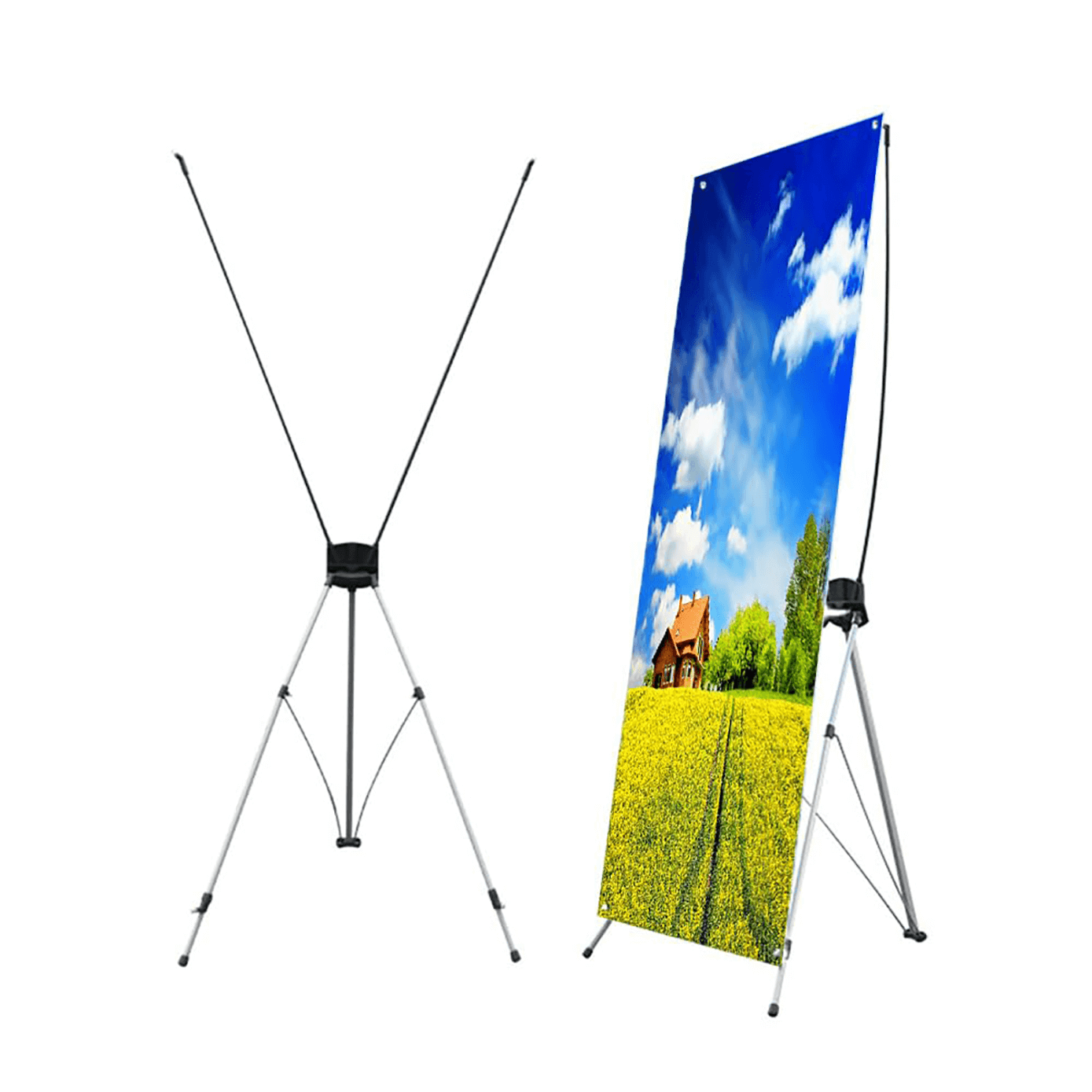 X Stands